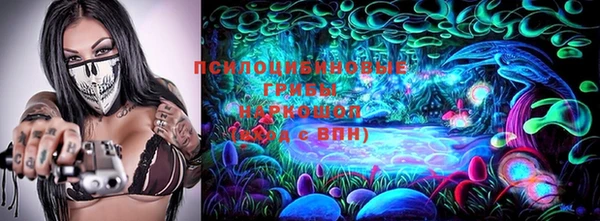 твердый Арсеньев