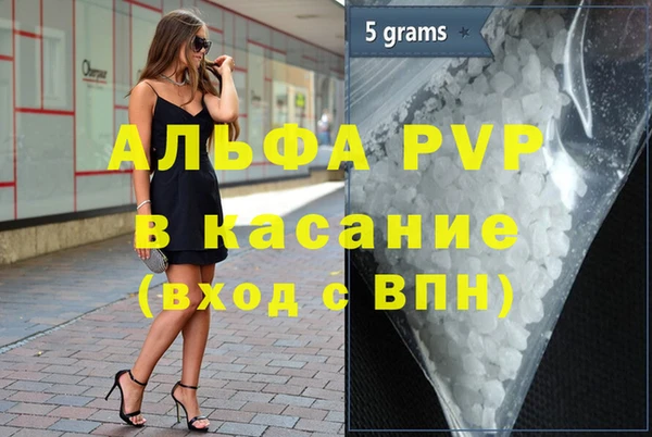 твердый Арсеньев