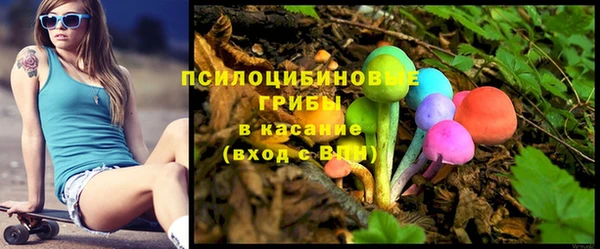 твердый Арсеньев