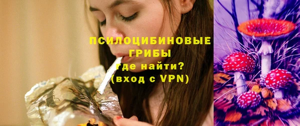 твердый Арсеньев