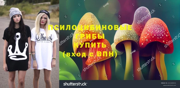 твердый Арсеньев