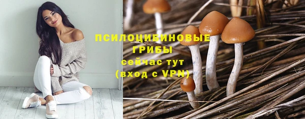 а пвп мука Армянск