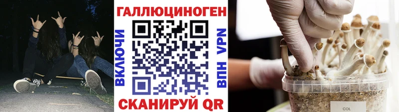 Галлюциногенные грибы Cubensis  что такое   Нарткала 